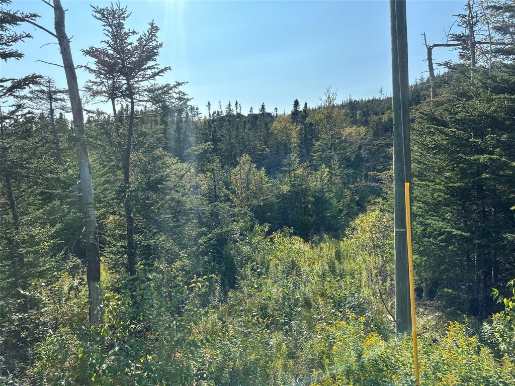 195 Conception Bay Highway, Georgetown, NL