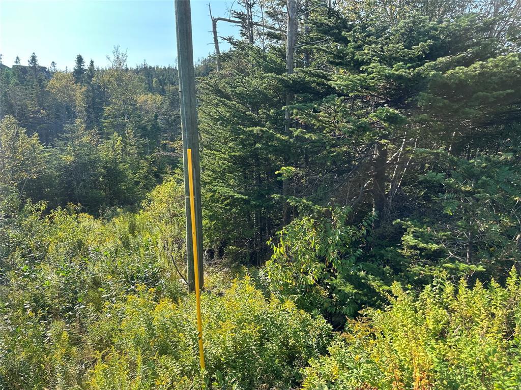195 Conception Bay Highway, Georgetown, NL