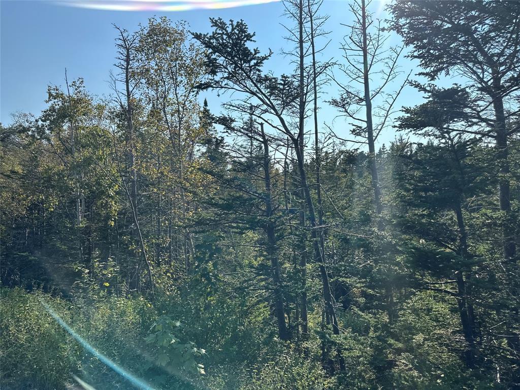 195 Conception Bay Highway, Georgetown, NL