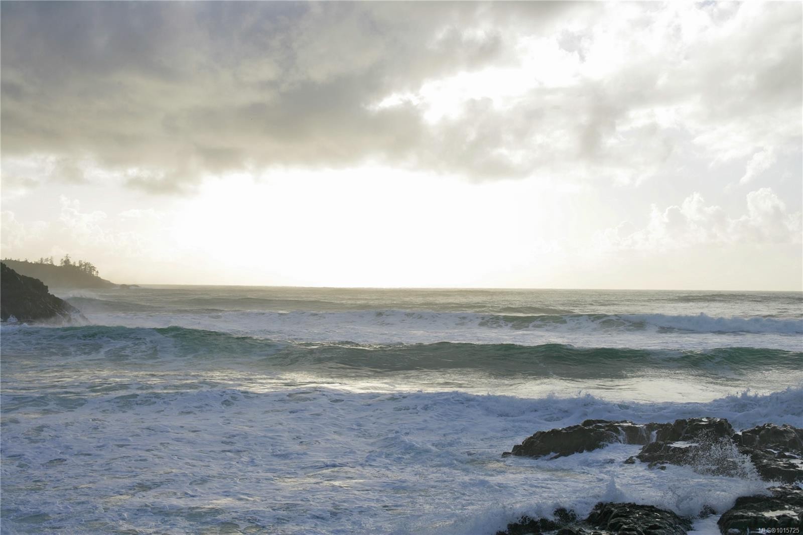 871 Moser Pl, Tofino, BC