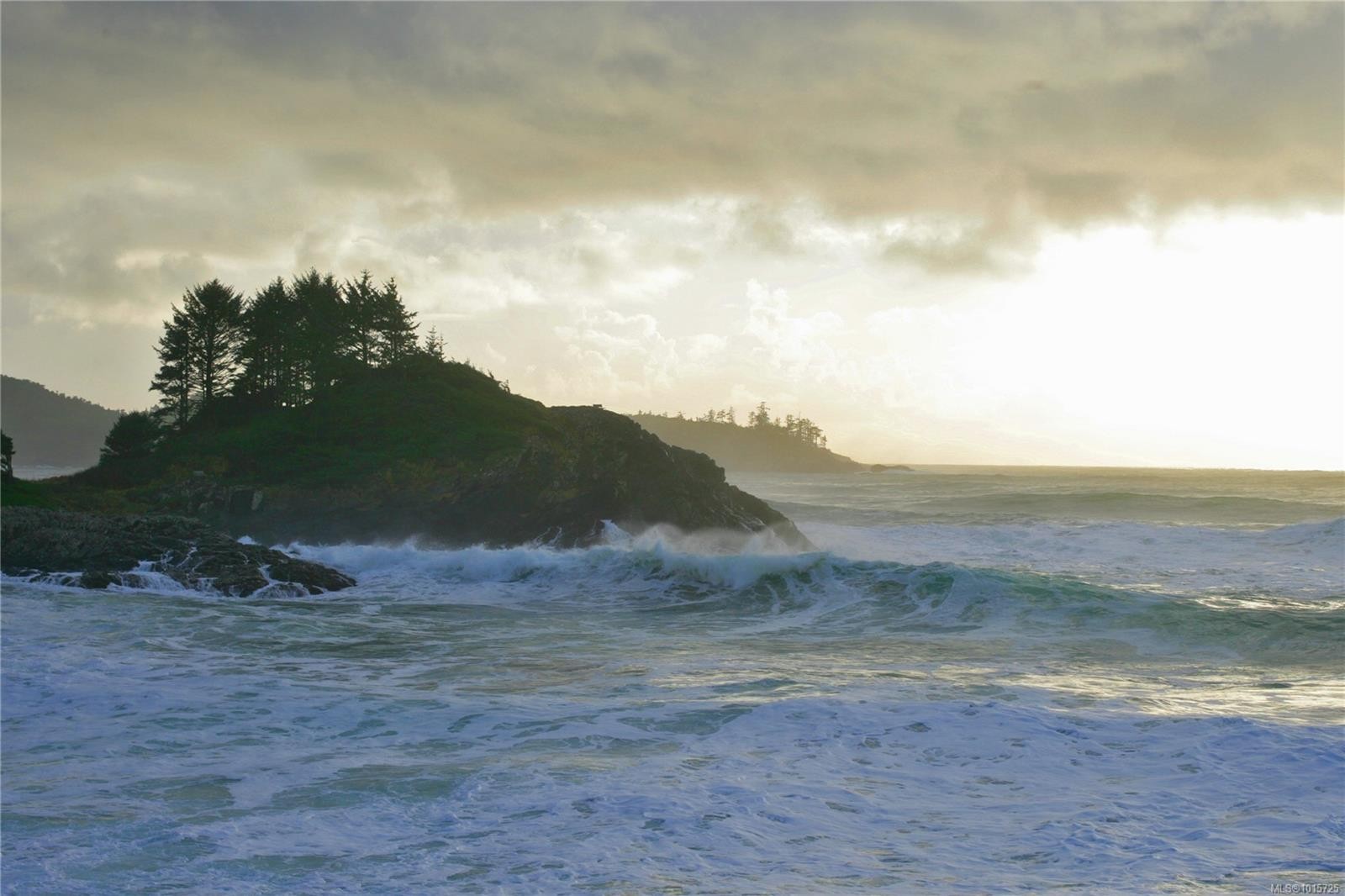 871 Moser Pl, Tofino, BC