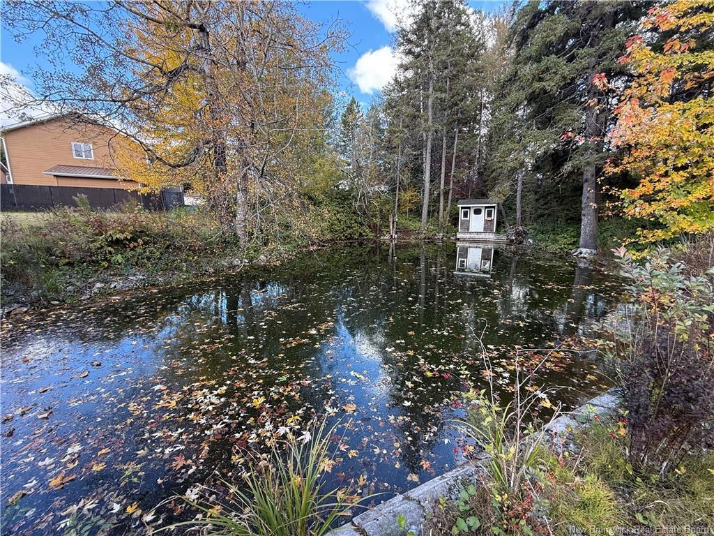 86 Saint Andre Rd, Grand-Sault/Grand Falls, NB