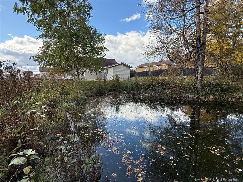 86 Saint Andre Rd, Grand-Sault/Grand Falls, NB