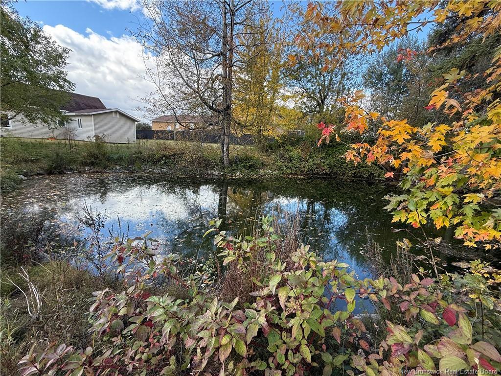 86 Saint Andre Rd, Grand-Sault/Grand Falls, NB