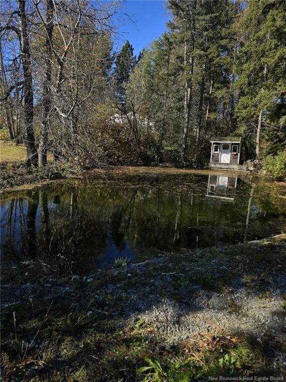 86 Saint Andre Rd, Grand-Sault/Grand Falls, NB