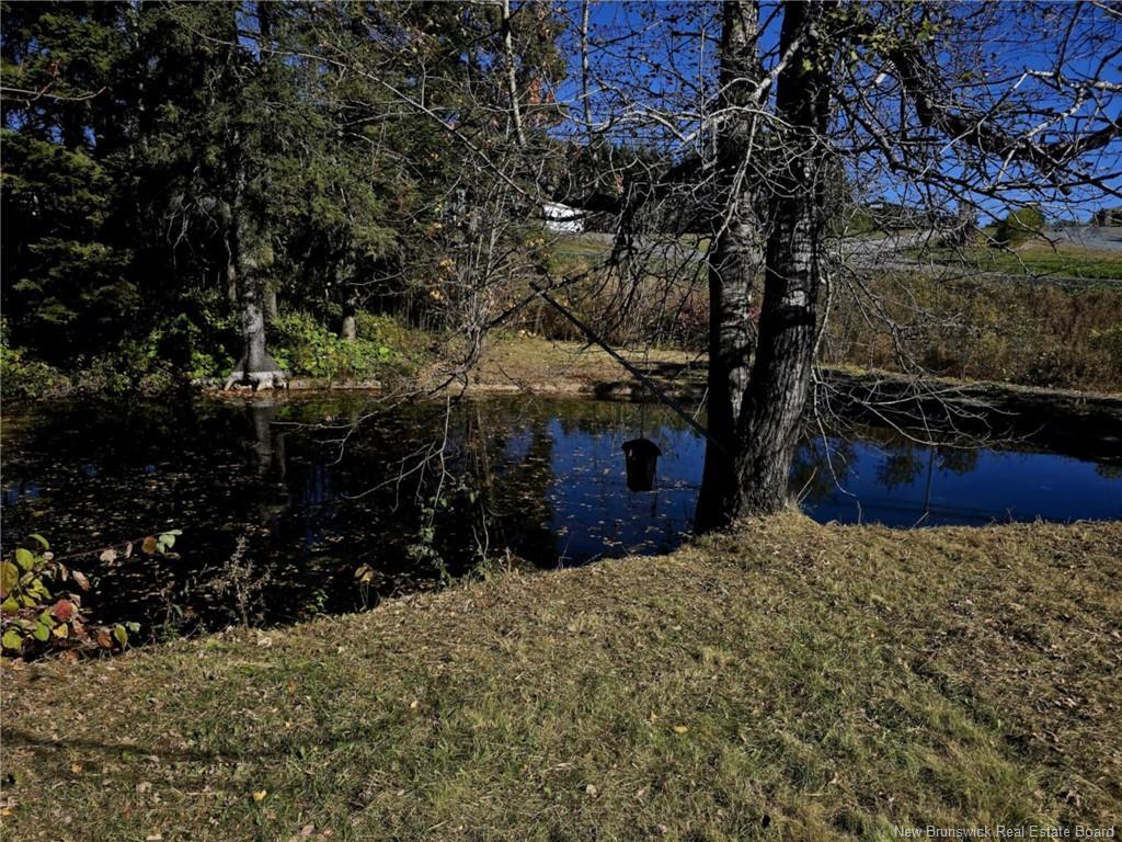 86 Saint Andre Rd, Grand-Sault/Grand Falls, NB