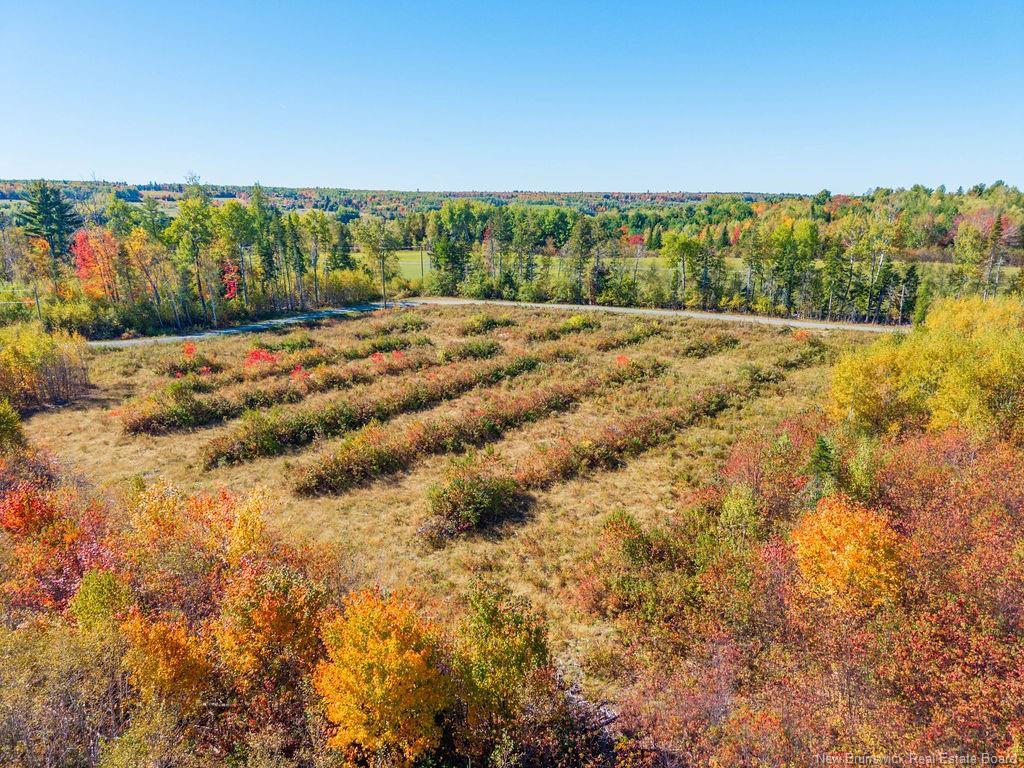Lot 2023-3 Route 425, Strathadam, NB