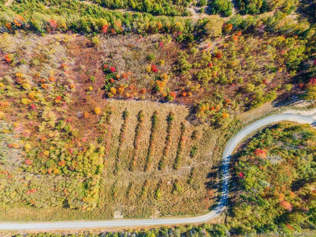 Lot 2023-3 Route 425, Strathadam, NB