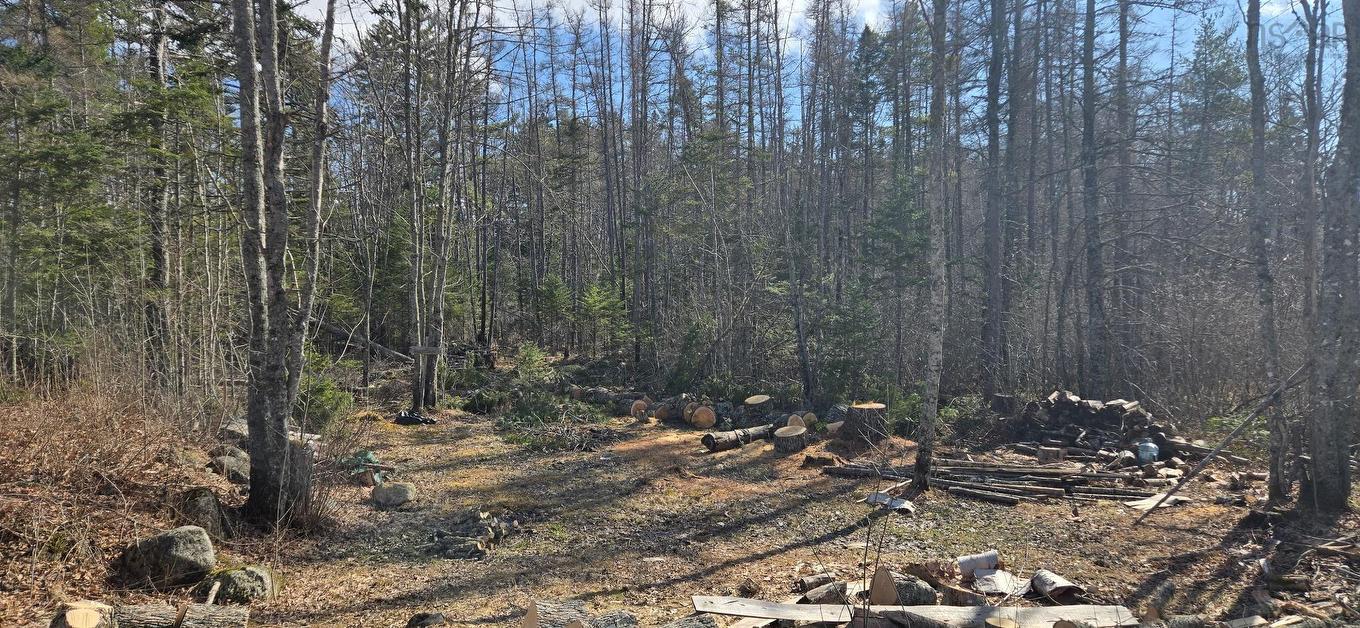 11799 Highway 8, Kempt, NS