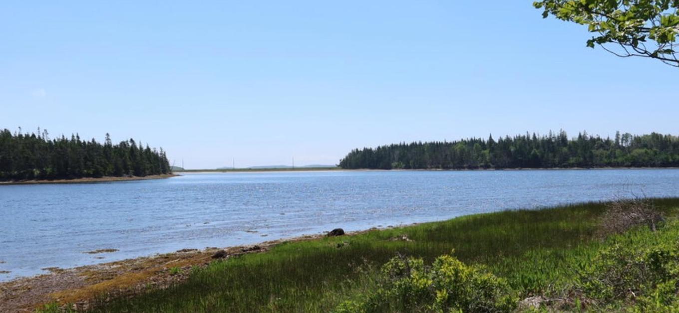 Anchorage Avenue, South River Bourgeois, NS