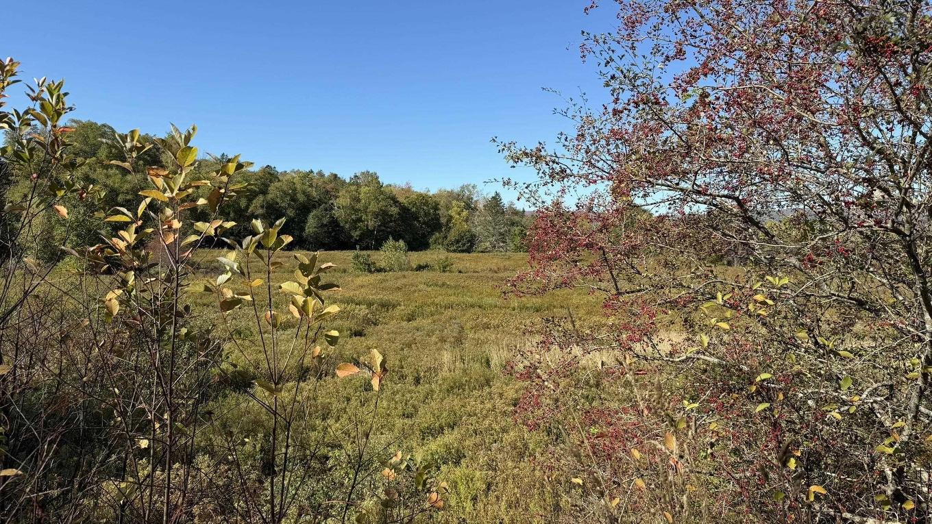 Lot Highway 201, Round Hill, NS