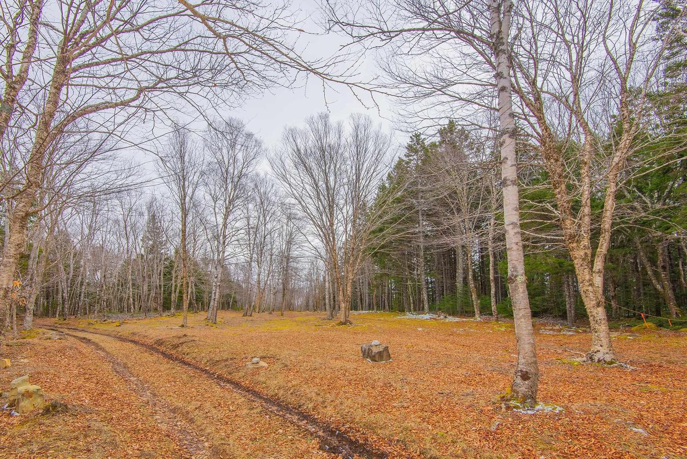 Lot Peter Leblanc Road, Meteghan, NS