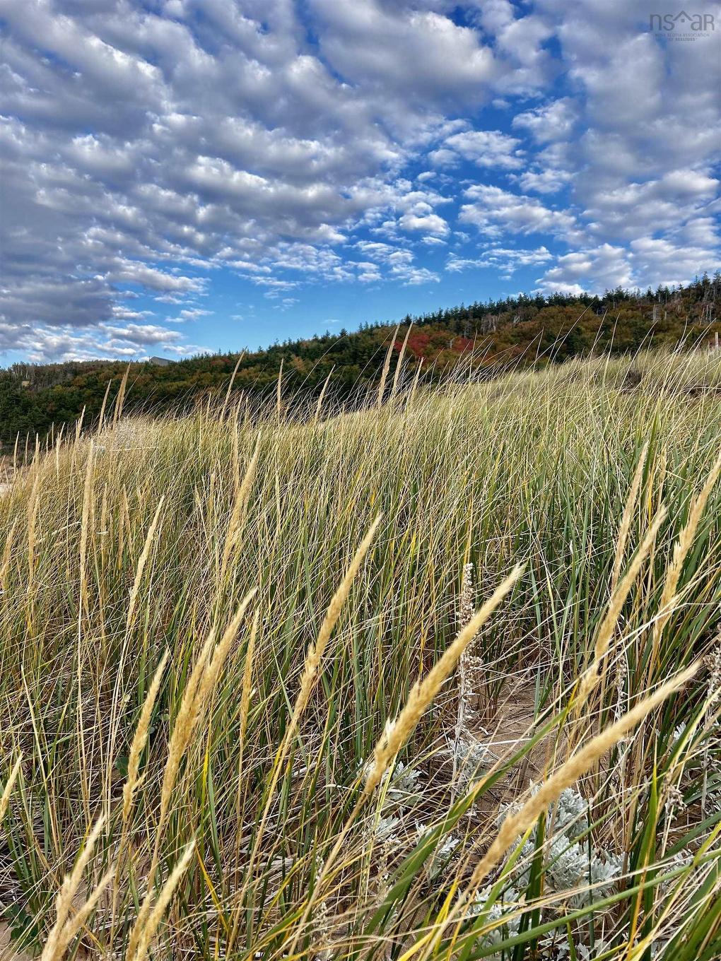 94 Chimney Corner Beach Road, Chimney Corner, NS