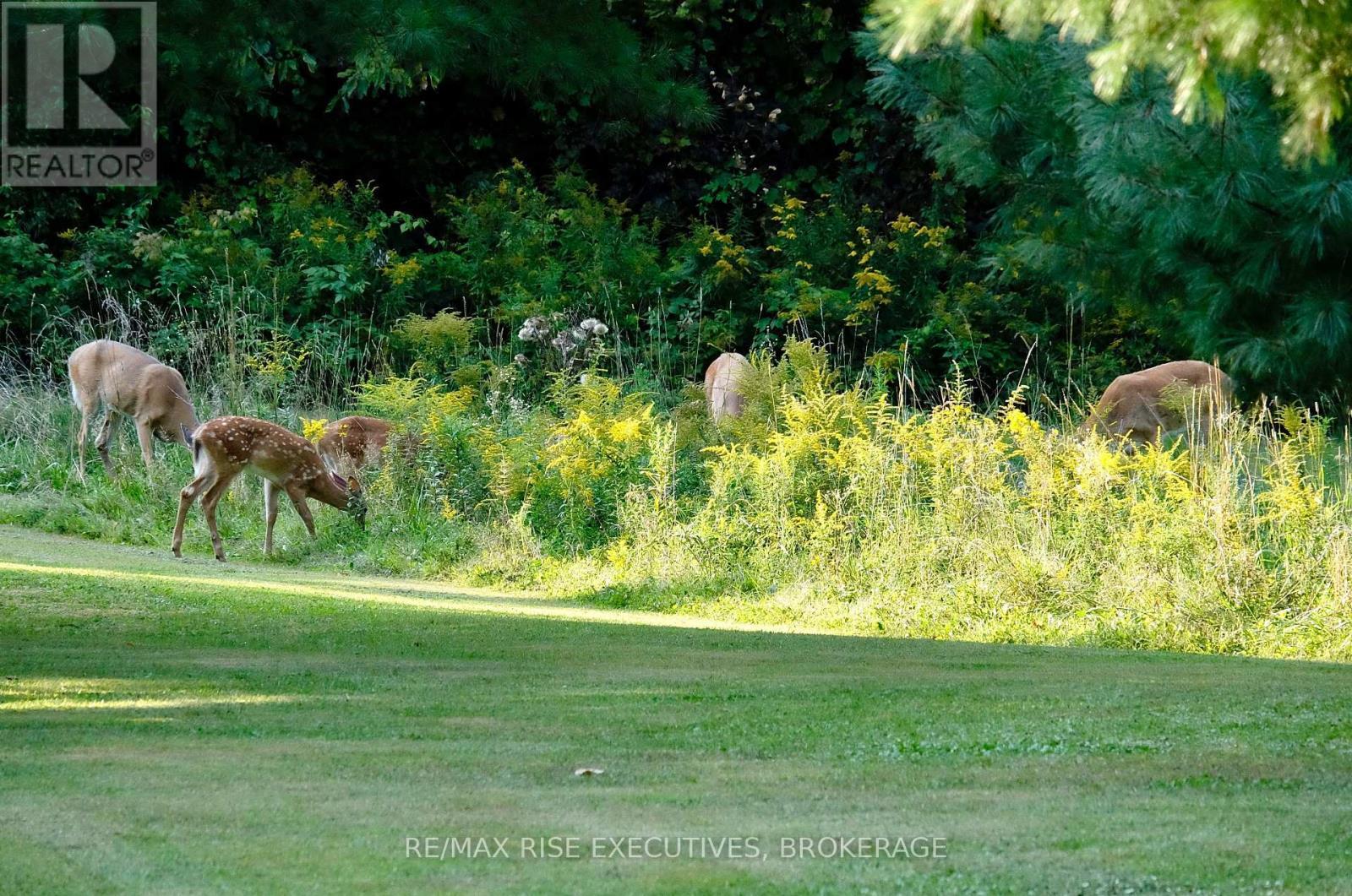 Pt 2 Spring Mill Lane, Frontenac (Frontenac South), ON