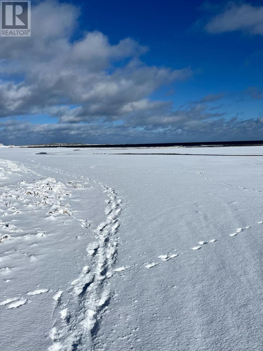 24 Twin Road, Lumsden, NL