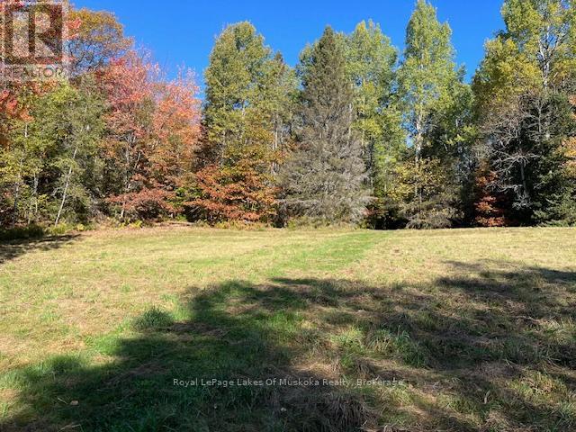 96 520 Highway W, Armour, ON - Outdoor With View