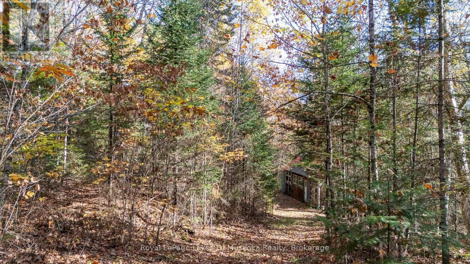 96 520 Highway W, Armour, ON - Outdoor