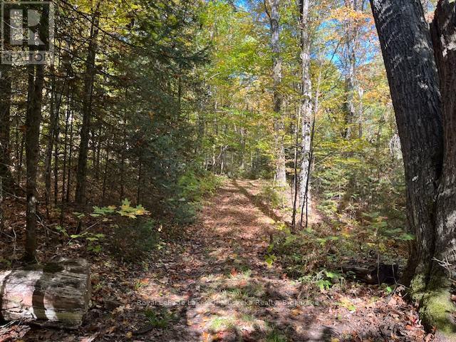 96 520 Highway W, Armour, ON - Outdoor With View