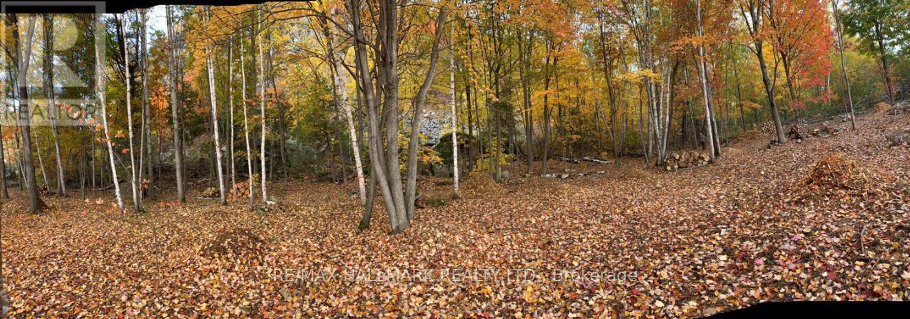 2810 Second Line W, Prince, ON