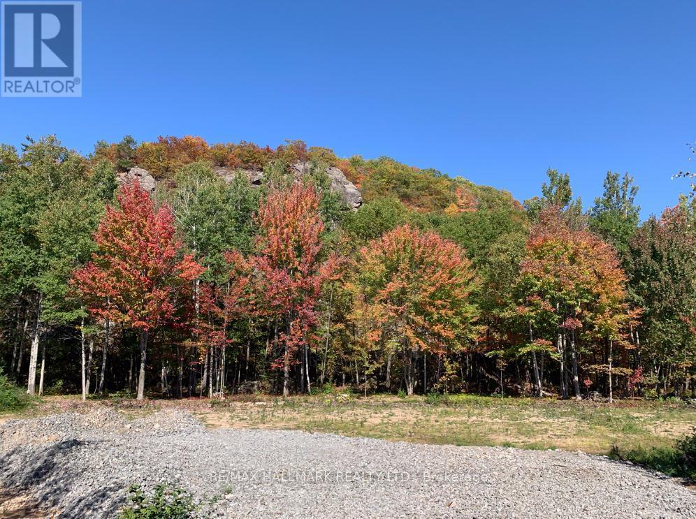 2810 Second Line W, Prince, ON