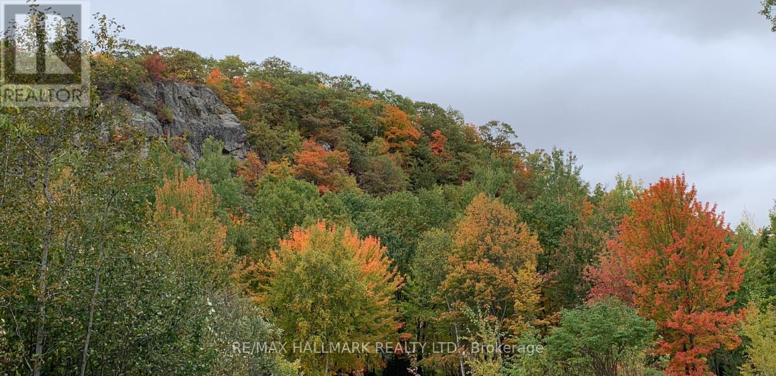 2810 Second Line W, Prince, ON