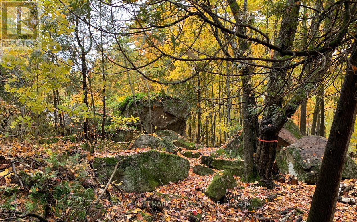 2810 Second Line W, Prince, ON