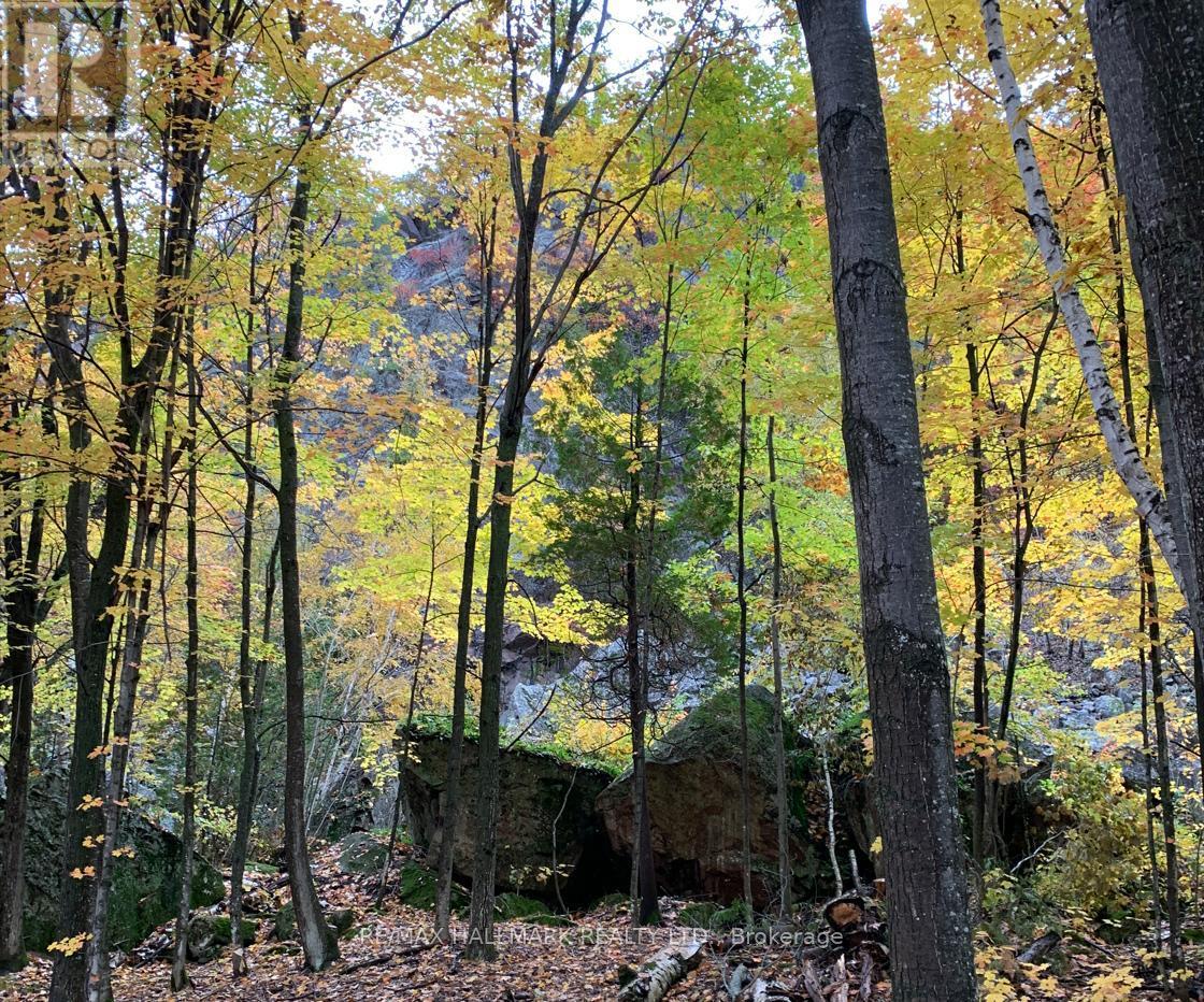 2810 Second Line W, Prince, ON