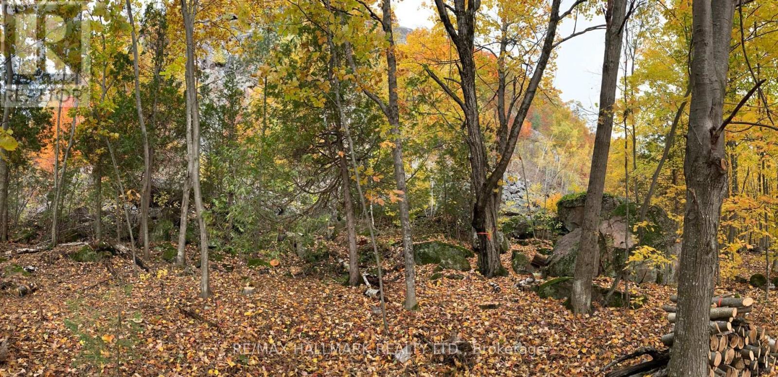 2810 Second Line W, Prince, ON