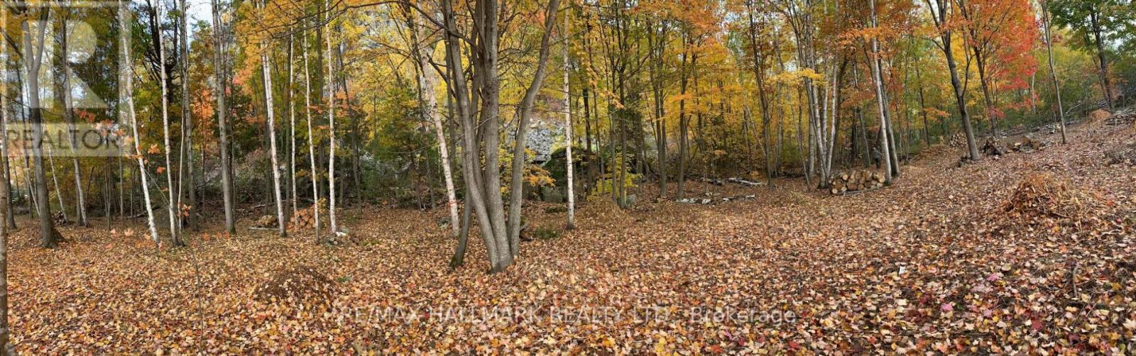 2810 Second Line W, Prince, ON