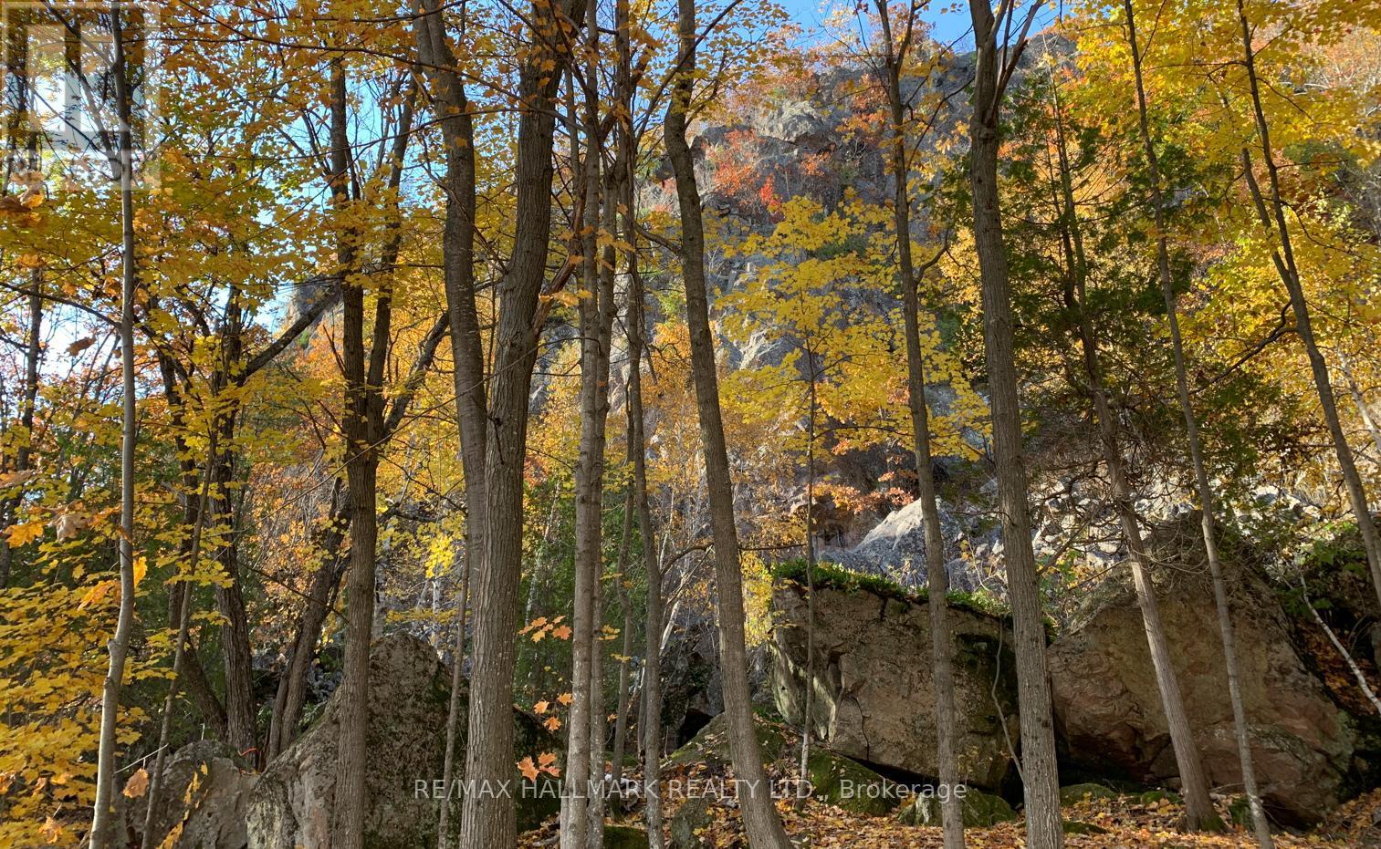 2810 Second Line W, Prince, ON