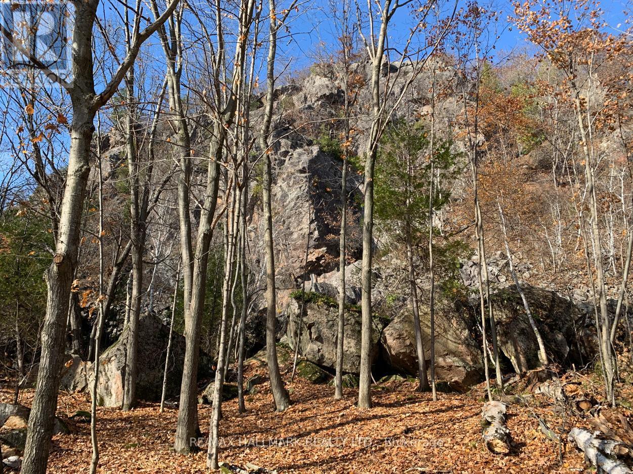 2810 Second Line W, Prince, ON