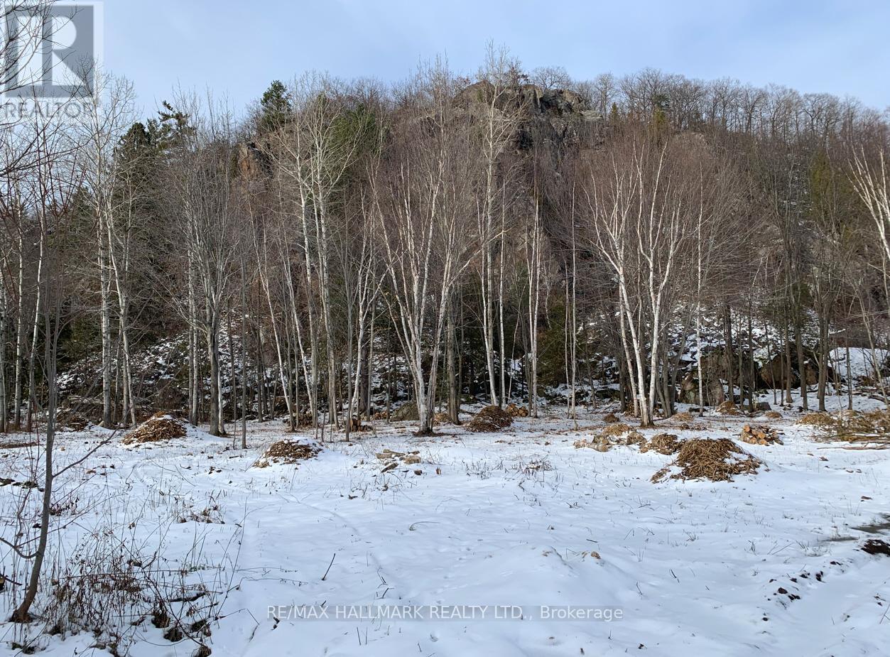 2810 Second Line W, Prince, ON