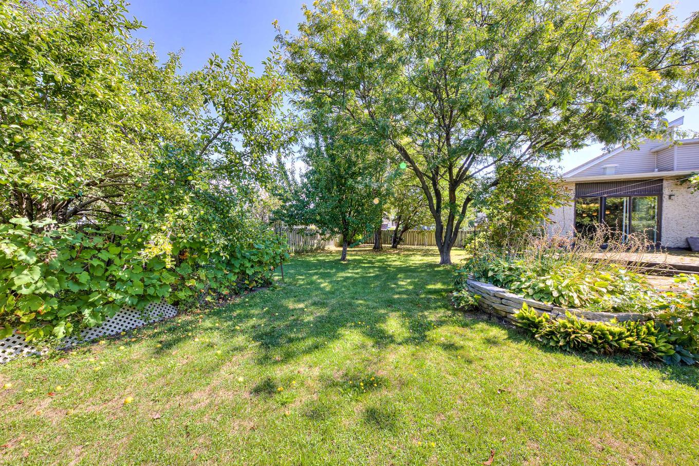 Backyard - 2450 Rue Lupien, Longueuil (Saint-Hubert), QC - Outdoor
