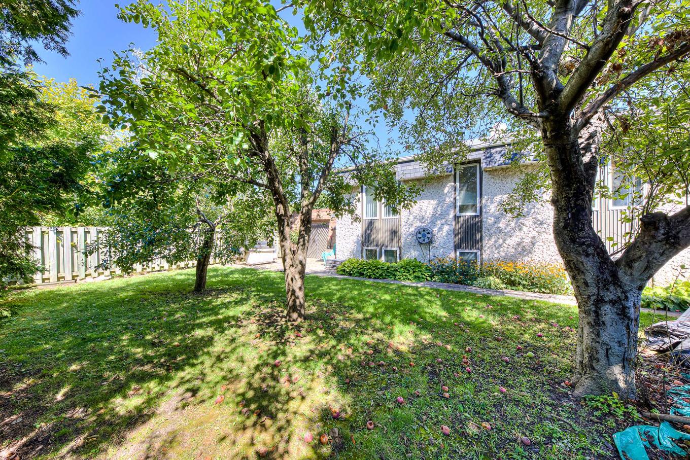 Backyard - 2450 Rue Lupien, Longueuil (Saint-Hubert), QC - Outdoor