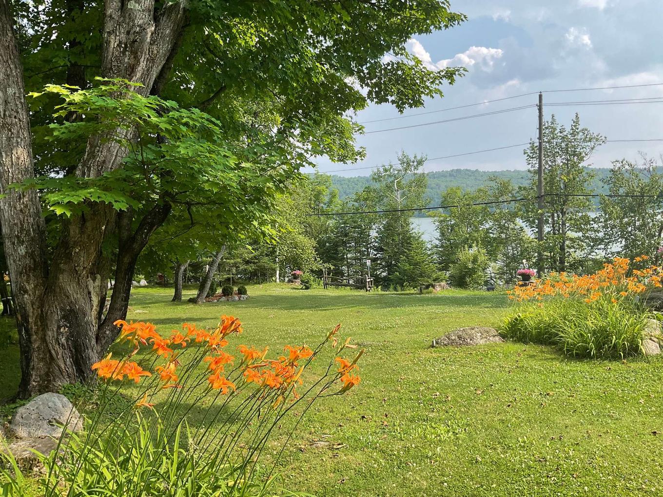 Garden - 165 Ch. Paquette, Mont-Tremblant, QC - Outdoor