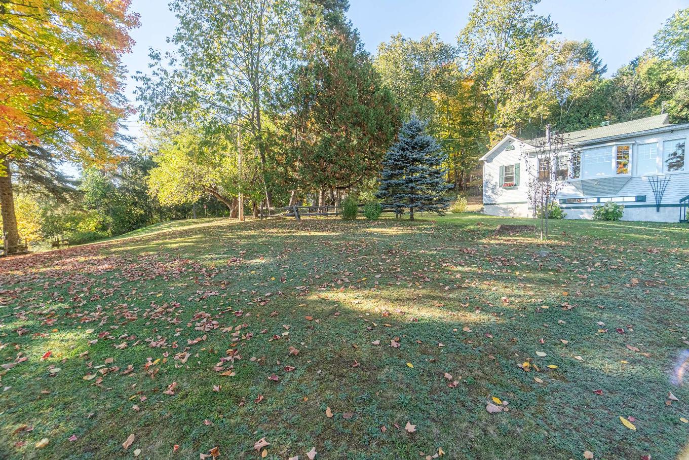 Land/Lot - 165 Ch. Paquette, Mont-Tremblant, QC - Outdoor