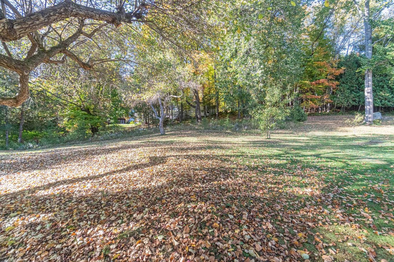 Land/Lot - 165 Ch. Paquette, Mont-Tremblant, QC - Outdoor