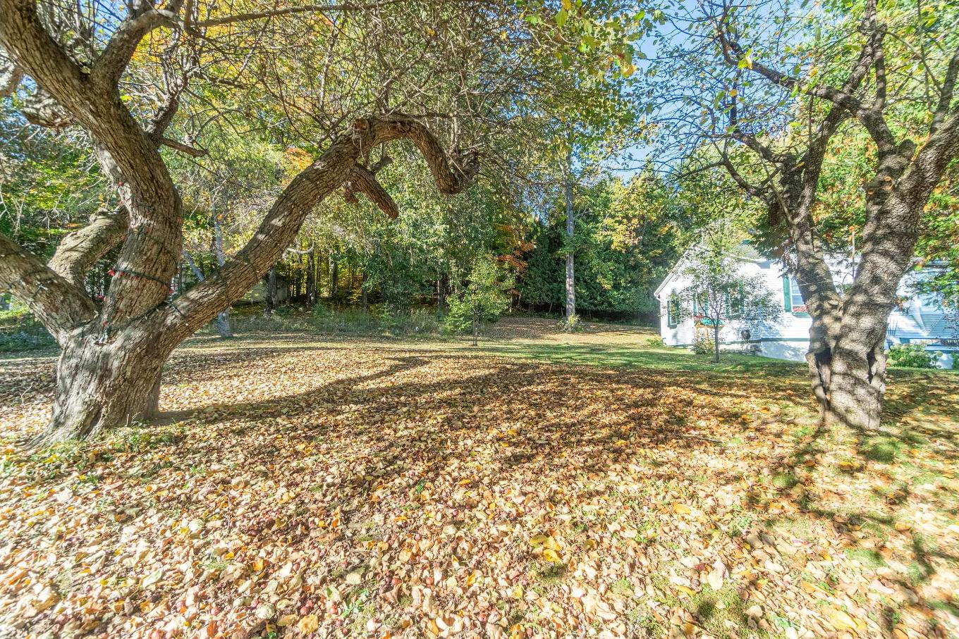 Land/Lot - 165 Ch. Paquette, Mont-Tremblant, QC - Outdoor