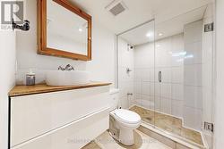 Bathroom in Lower Suite -