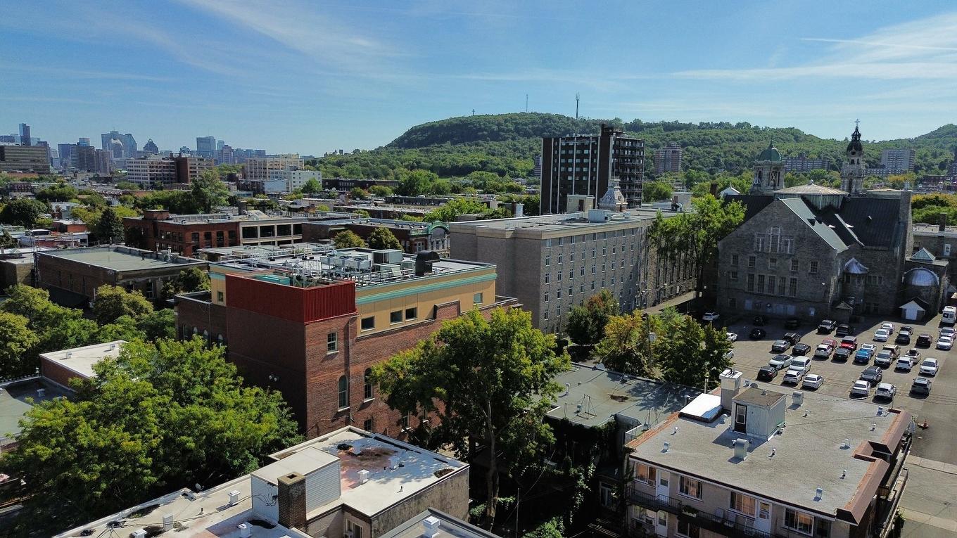 Photo aérienne - 5059 Av. De L'Hôtel-De-Ville, Montréal (Le Plateau-Mont-Royal), QC - Outdoor With View