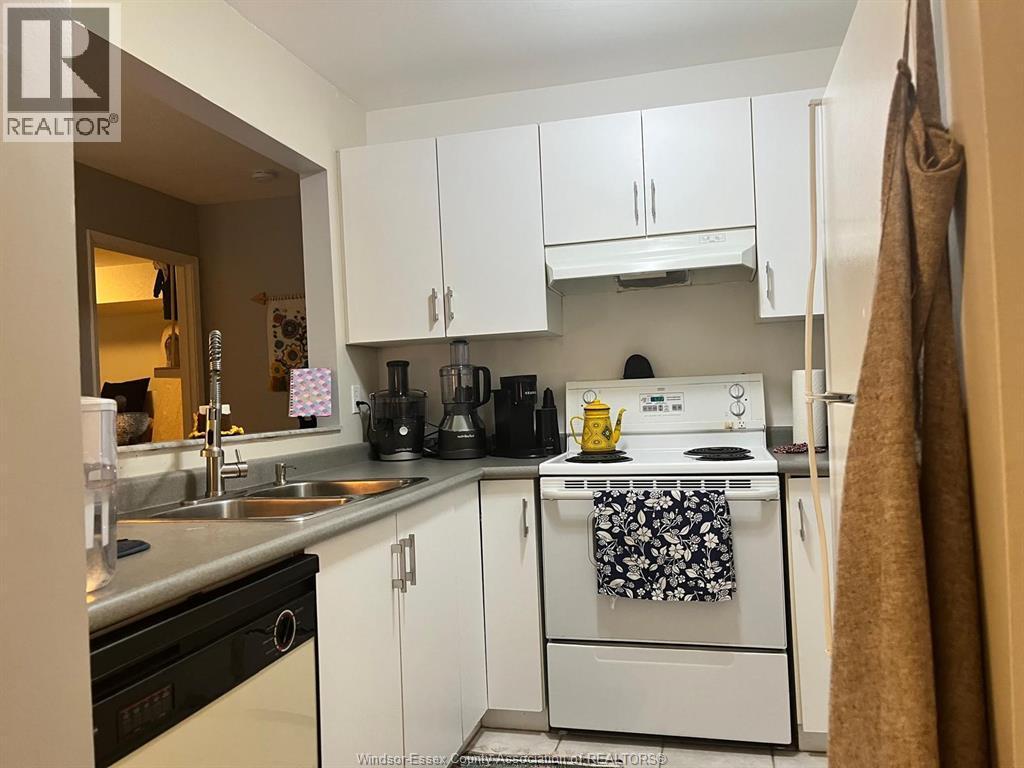 3000 Sandwich Unit# #110, Windsor, ON - Indoor Photo Showing Kitchen With Double Sink