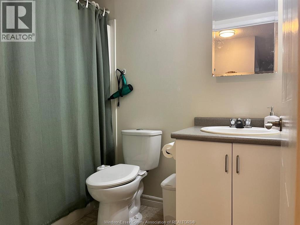 3000 Sandwich Unit# #110, Windsor, ON - Indoor Photo Showing Bathroom