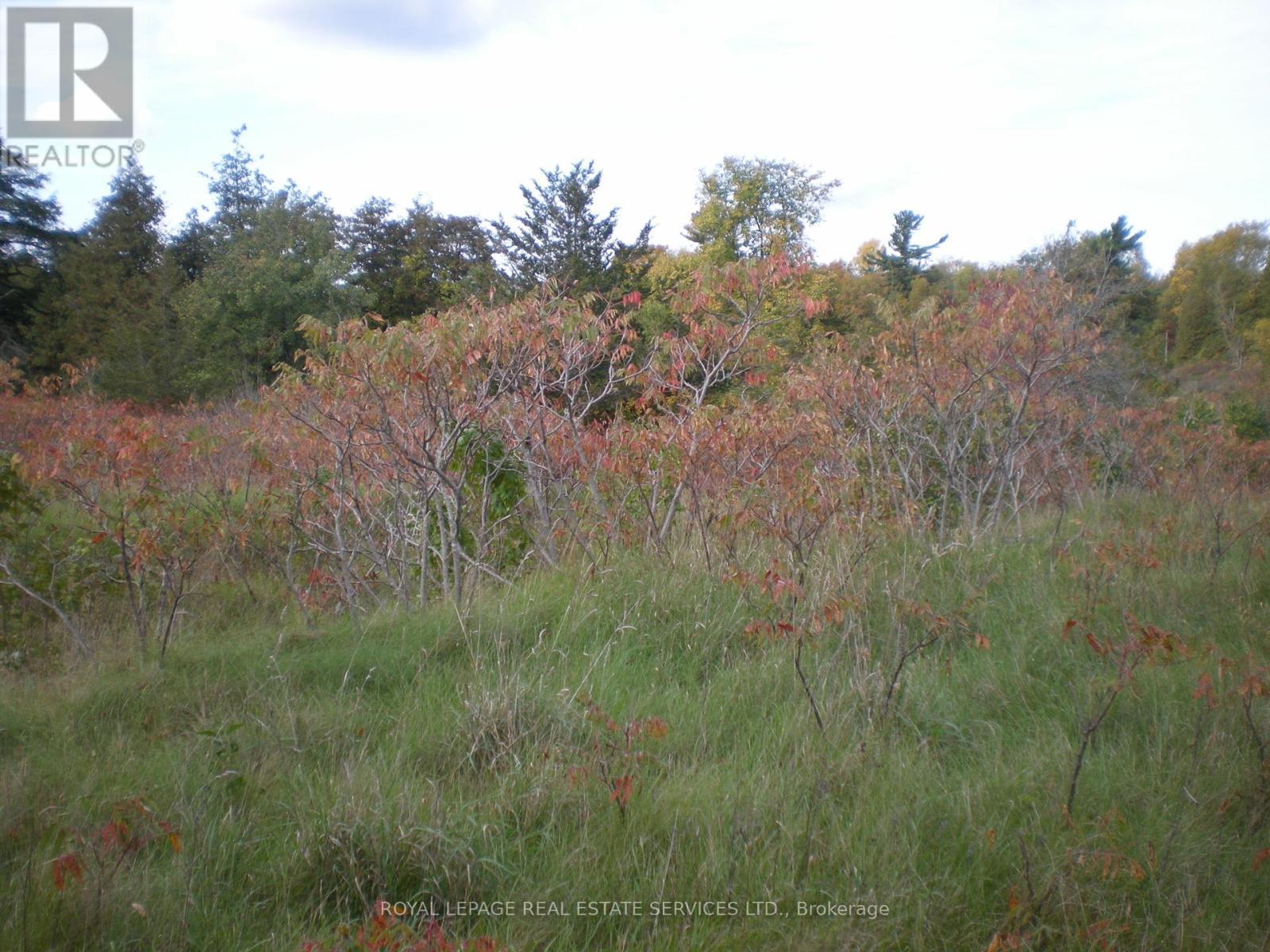 County Road 10, Lot 2, Prince Edward County, ON