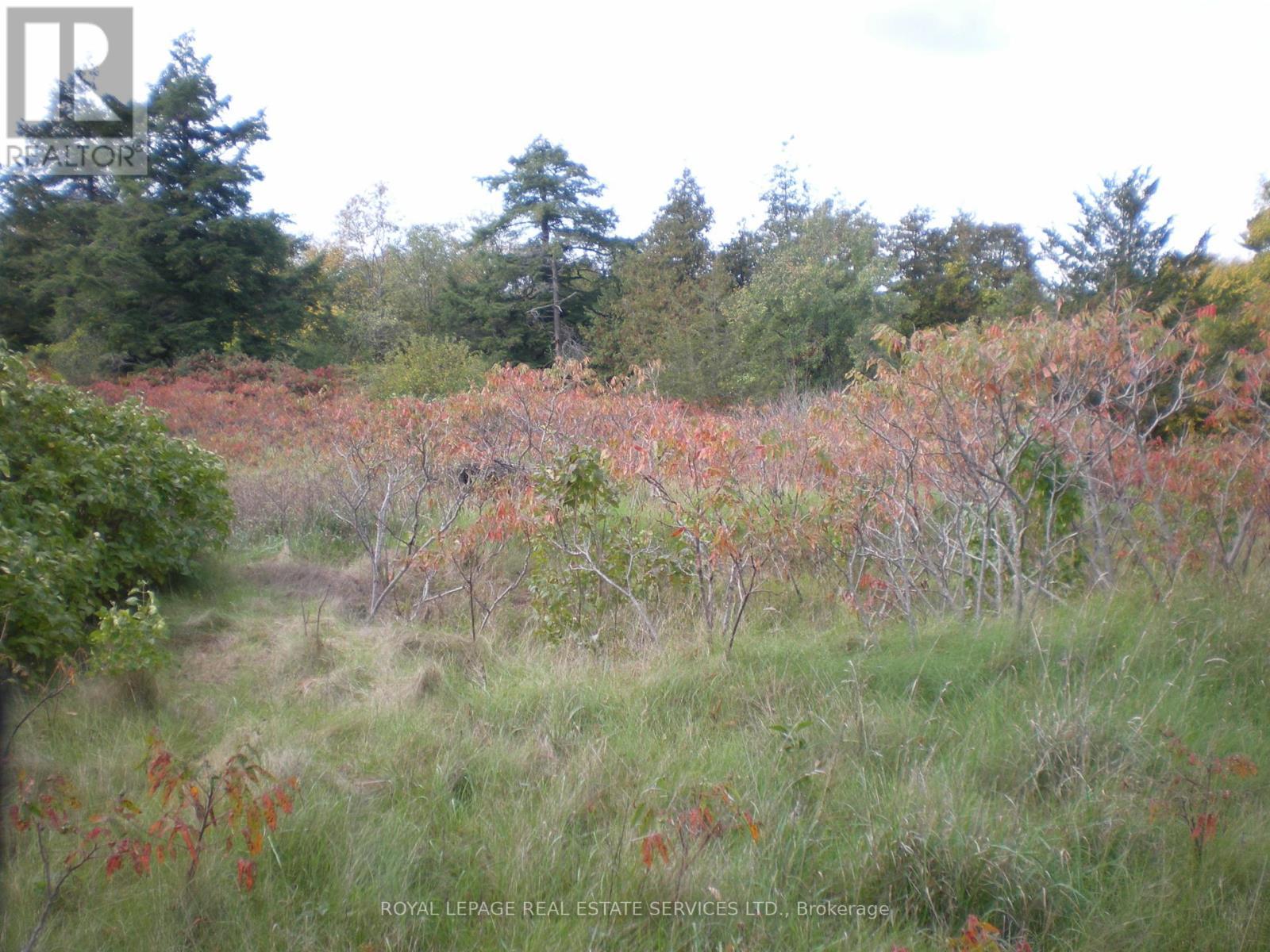 County Road 10, Lot 2, Prince Edward County, ON