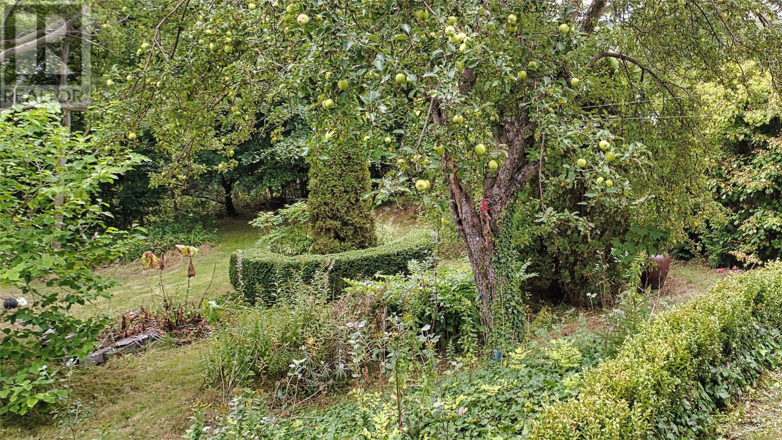 52-54 St Johns Road, Bay Bulls, NL - Outdoor