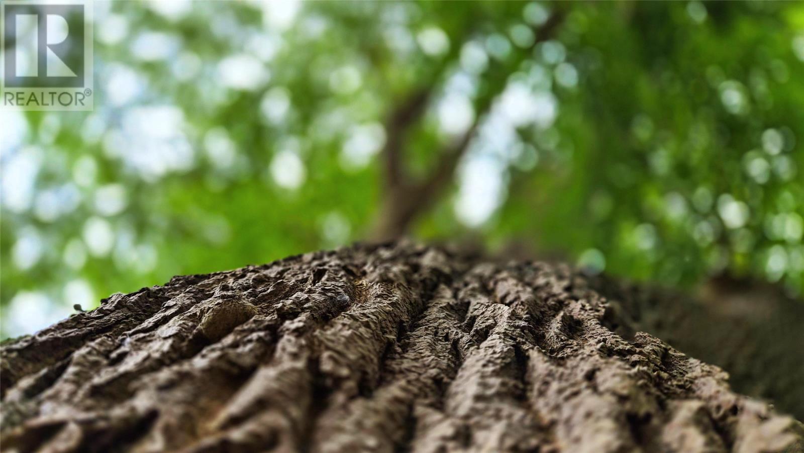 52-54 St Johns Road, Bay Bulls, NL -