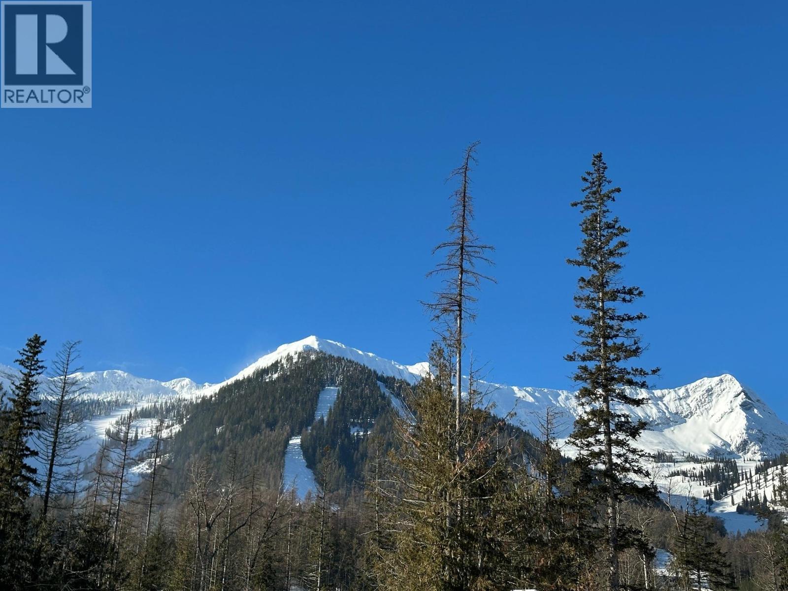 4559 Timberline Crescent Unit# 541, Fernie, BC - Outdoor With View