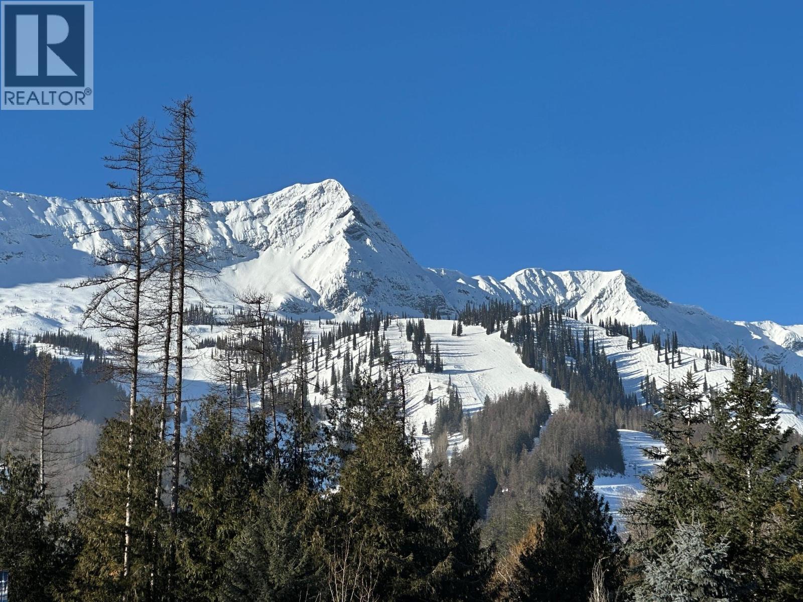 4559 Timberline Crescent Unit# 541, Fernie, BC - Outdoor With View