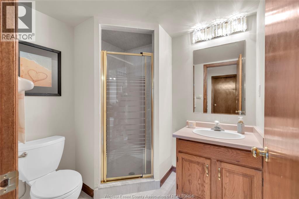 2395 Youngstown Street, Windsor, ON - Indoor Photo Showing Bathroom