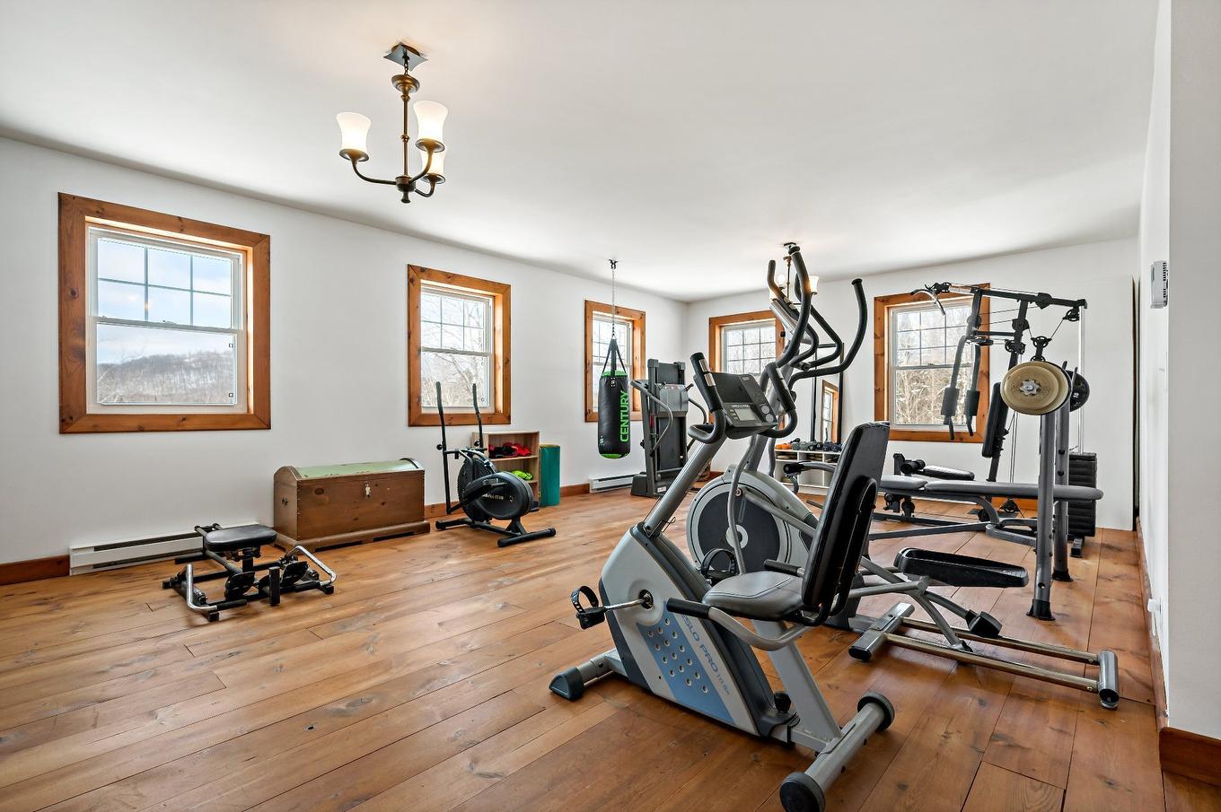 Family room - 23Z - 23Az Ch. Du Lac-Allard, Lac-Saguay, QC - Indoor Photo Showing Gym Room